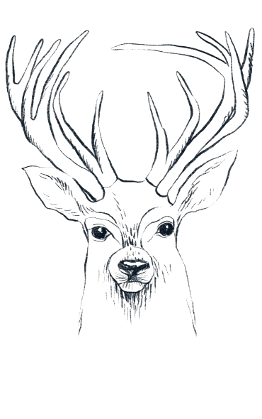 Blue Deer